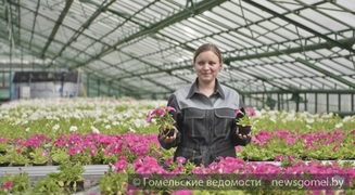 В Гомеле рабочие предприятия "Красная гвоздика" высадят до 400 тысяч цветов
