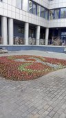 Поликлиника по ул. Мазурова, 2020 г.